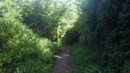 Image on trail