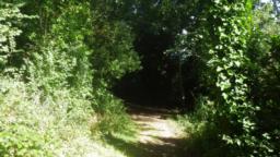 Image on trail