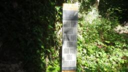 Image on trail