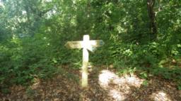 Image on trail