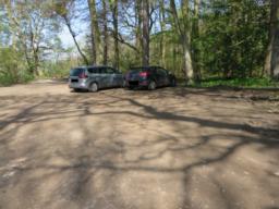 Image on trail