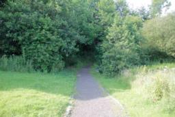 Image on trail