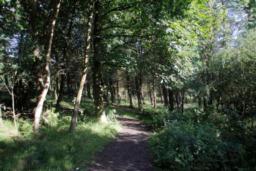 Image on trail