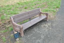 Image on trail